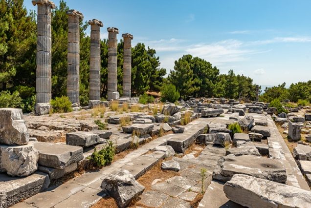 Priene, Miletus, and Didyma Tour From Kusadasi